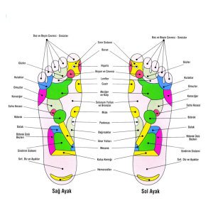 8 Noktalı Manyetik Ayakkabı Tabanı