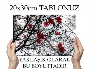 C.Ö. SONBAHARDA KIRMIZI YAPRAKLAR 7 değişen ölçü KANVAS TABLO