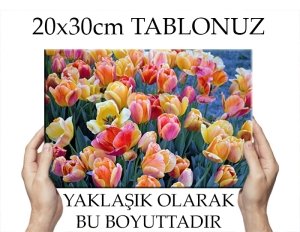 C.Ö. SICAK RENKLERLE LALE BAHÇESİ 7 değişen ölçü KANVAS TABLO
