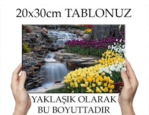 C.Ö. EMİRGANDA LALELERİN GÜZELLİĞİ 7 değişen ölçü KANVAS TABLO