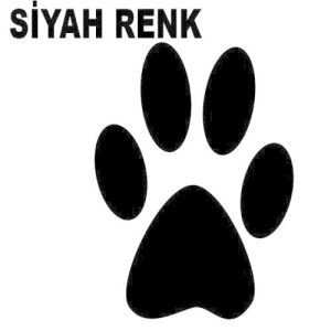 SHOW DERİ EŞYA DERİ MONT ve DERİ ÇANTA BOYASI