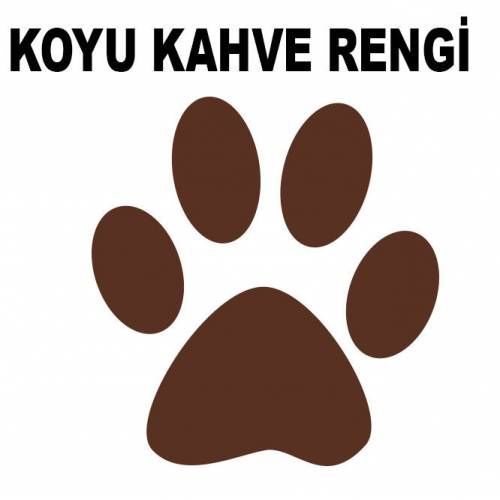 SHOW DERİ EŞYA DERİ MONT ve DERİ ÇANTA BOYASI koyu kahve