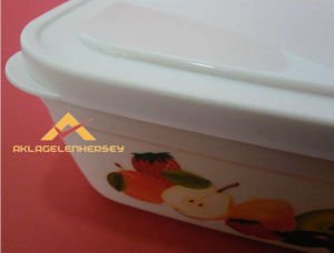 KAPAKLI KALİTELİ PLASTİK RENKLİ SAKLAMA KABI