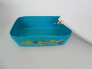 KAPAKLI KALİTELİ PLASTİK RENKLİ SAKLAMA KABI