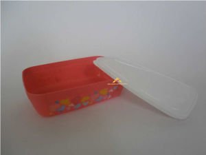 KAPAKLI KALİTELİ PLASTİK RENKLİ SAKLAMA KABI