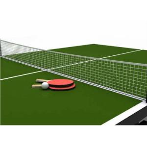 Masa Tenisi Seti Fileli-Demirli-Ahşap Raketli-12 Adet Pinpon Topu Hediyeli 17 Parça Pinpon Seti