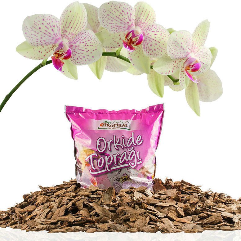 3 Litre Organik Doğal Karışım Orkide Toprağı 1. Sınıf Dezenfekte Orkide Harcı Torf-1
