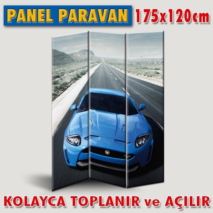 GÖRSELLİ KATLANIR PANEL BÖLME SİSTEMİ - MAVİ VE YOLDA