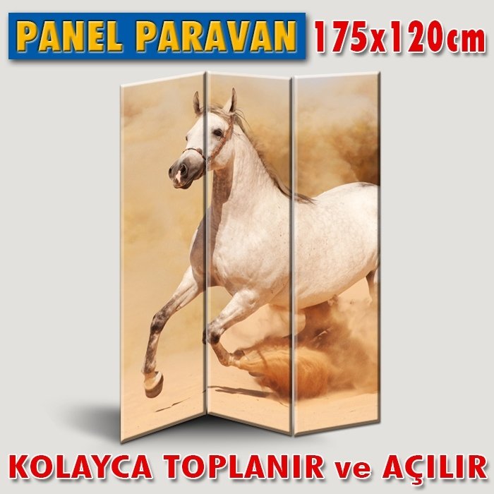 GÖRSELLİ KATLANIR PANEL BÖLME SİSTEMİ - RÜZGAR OLMAK