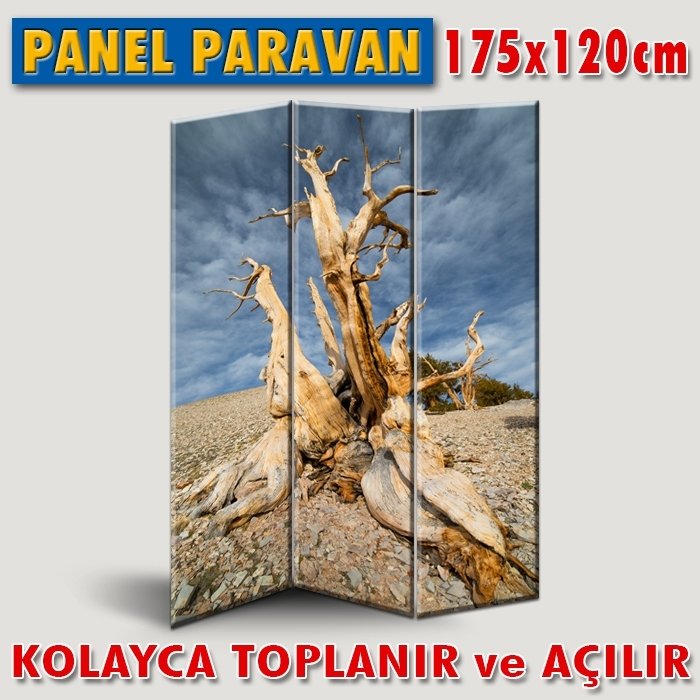 GÖRSELLİ KATLANIR PANEL BÖLME SİSTEMİ - KURUMUŞ HAYAT