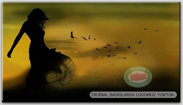 100x70cm ÇERÇEVELİ CANVAS TABLO FANTASY B0058