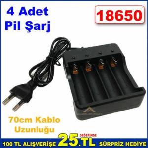4 Adet Pili Aynı Anda Şarj Eden Oldukça Kullanışlı 70cm Kablo Uzunluğu 18650 Pil Şarj Aleti abn344