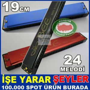 HARMONİKA 24 NOTALI PROFESYONEL METAL MIZIKA