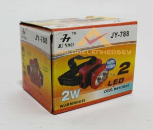 ŞARJLI 2 LEDLİ SICAK ve SOĞUK BEYAZ KAFA LAMBASI