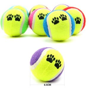 Evcil Hayvan Eğitim Topu 2 li Set