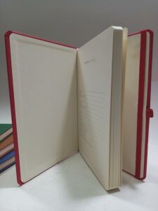 21*15 Kırmızı Renkli Kapaklı Çizgili  Kalemlikli Ajanda Defter( Takvimsiz)