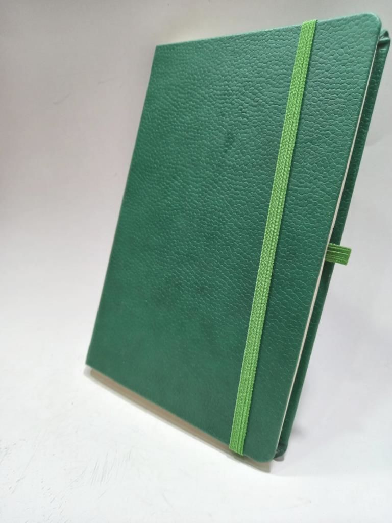 21*15 Yeşil Renkli Kapaklı Çizgili  Kalemlikli Ajanda Defter( Takvimsiz) Ayraçlı