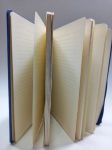 21*15 Yeşil Renkli Kapaklı Çizgili  Kalemlikli Ajanda Defter( Takvimsiz) Ayraçlı