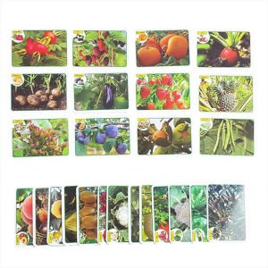 İlk 50 Meyve Sebze Kartları Çocuklar İçin Eğitici ve Zeka Geliştirici Oyun Kartları