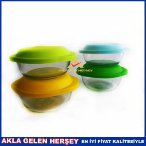 DEL VETRO RENKLİ PLASTİK KAPAKLI SAKLAMA KABI 