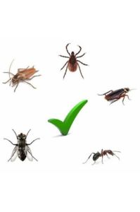 BERMUDA Ew Genel Haşere İlacı 50 Ml Akrep-Kene-Pire-Hamamböceği-Tahtakurusu-Gümüşböceği