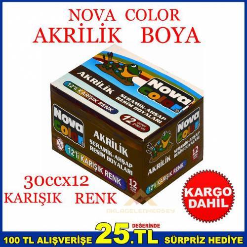 Novacolor 12 Renk Akrilik Seramik Ahşap Boyası