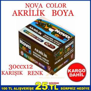 Novacolor 12 Renk Akrilik Seramik Ahşap Boyası