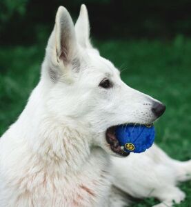 Sesli Mama Oyun Topu