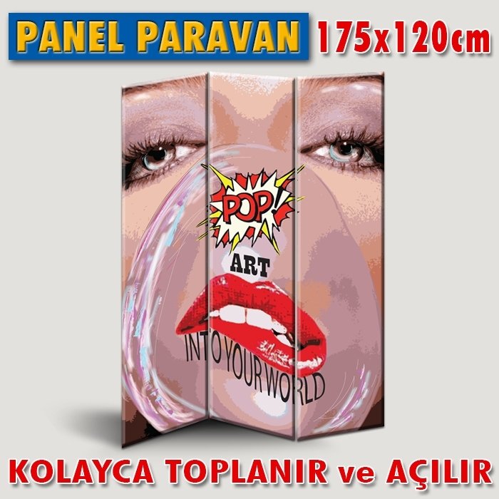 GÖRSEL KATLANIR PANEL BÖLME SİSTEMİ-POP-ART MCCLELLAN-PROPAGANDA