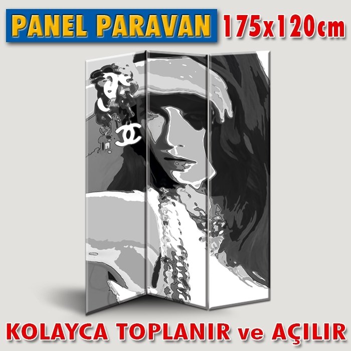 GÖRSELLİ KATLANIR PANEL BÖLME SİSTEMİ-POP-ART GÜNEŞTE MODA ÇEKİMİ