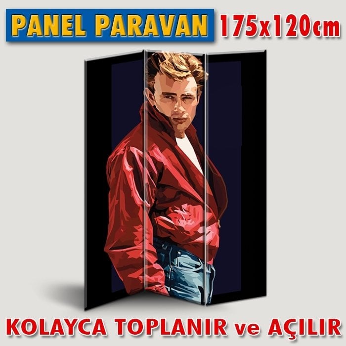 GÖRSELLİ KATLANIR PANEL BÖLME SİSTEMİ - POP-ART JAMES DEAN