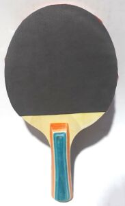10cm Saplı 2 Raket ve 4cm Çaplı 3 Toplu Çantalı Masa Tenis Seti
