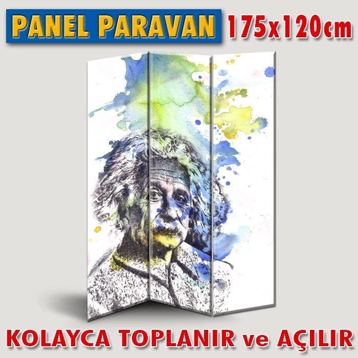 GÖRSELLİ KATLANIR PANEL BÖLME SİSTEMİ-POP-ART ALBERT EINSTEIN