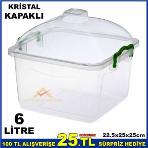6 LİTRE KRİSTAL FANUS KAPAKLI ELİTE GIDA KABI