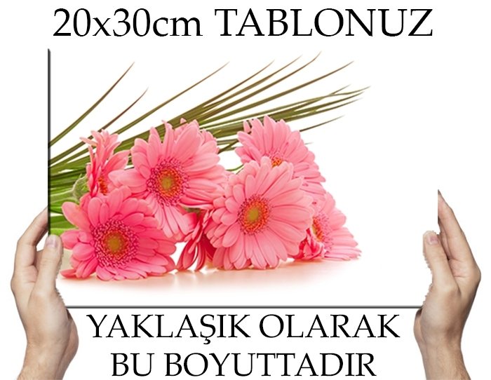 PEMBE CICEKLER 6 değişen ölçü ORİJİNAL KANVAS TABLO