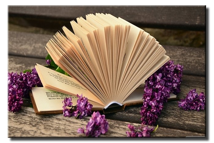 MAKRO ACIK KITAP 6 değişen ölçü ORİJİNAL KANVAS TABLO