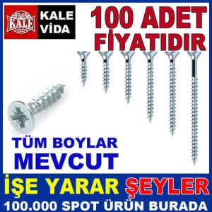 KALE VİDA 100 ADET SUNTA AHŞAP VİDASI 3.5x25mm