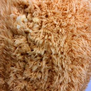 Kalp Tutan Sevimli Kahverengi Peluş Ayı - Sevgiliye Hediyelik