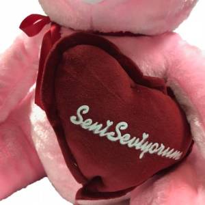 Kalp Tutan Sevimli Pembe Peluş Ayı - Sevgiliye Hediyelik 50cm