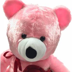 Kalp Tutan Sevimli Pembe Peluş Ayı - Sevgiliye Hediyelik 50cm