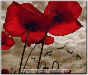 100x70cm ÇERÇEVELİ CANVAS TABLO ÇİÇEK AYF12819