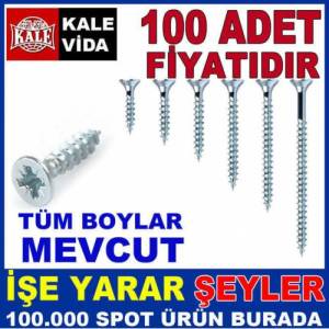 Kale Vida 100 Adet Sunta Ahşap Vidası 3.5x25mm