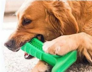 Köpek Diş Fırçası Isırma Aparatı Küçük Boy