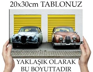 IKI ESKI ARABA 6 değişen ölçü ORİJİNAL KANVAS TABLO