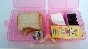 ÇOK FONKSİYONLU BESLENME KABI PRATİK BESLENME KUTUSU PEMBE