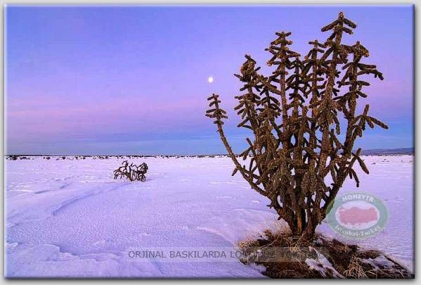 100x70cm ÇERÇEVELİ CANVAS TABLO MANZARA C2-10343