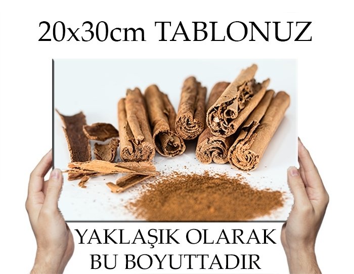 TARÇIN KOKUSU 7 değişen ölçü ORİJİNAL KANVAS TABLO