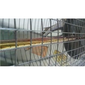 Yeni Nesil Elektrikli Isıtıcı Soba Yüksek Helojen Isı İç-Dış Meka