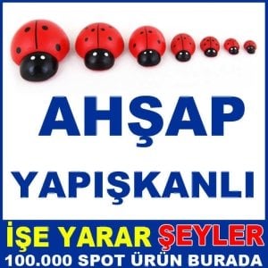 7'Lİ SET BÜYÜKTEN KÜÇÜĞE AHŞAP UĞUR BÖCEĞİ