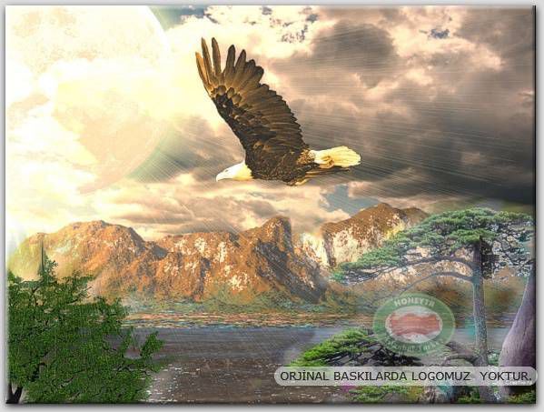 100x70cm ÇERÇEVELİ CANVAS TABLO FANTASY C001 513